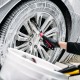 Car Wheel and Carpet Brush