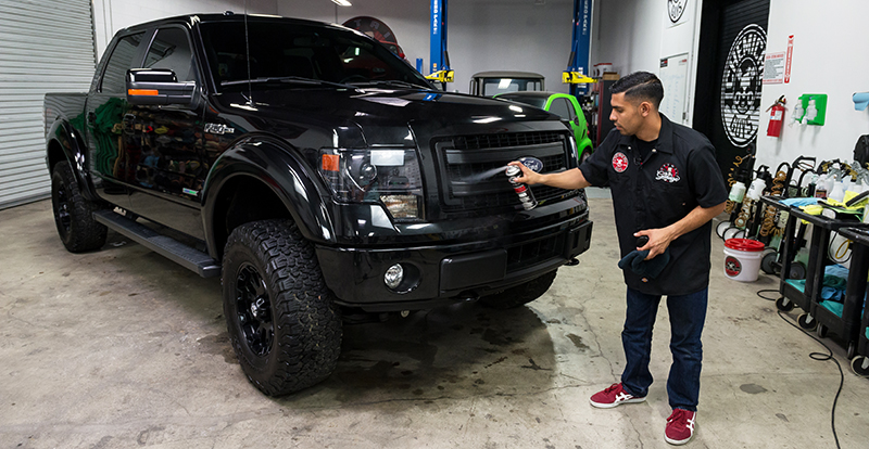 ford f150 plastic grill - dressing - shine